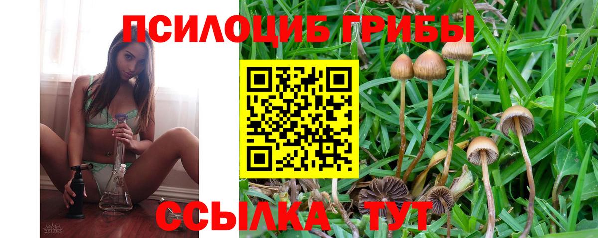 Богородск  Псилоцибиновые грибы Psilocybine cubensis  Вход с VPN  Псилоцибиновые грибы MAGIC MUSHROOMS 