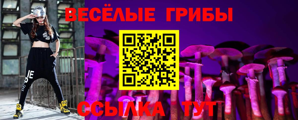 Галлюциногенные грибы мицелий Богородск